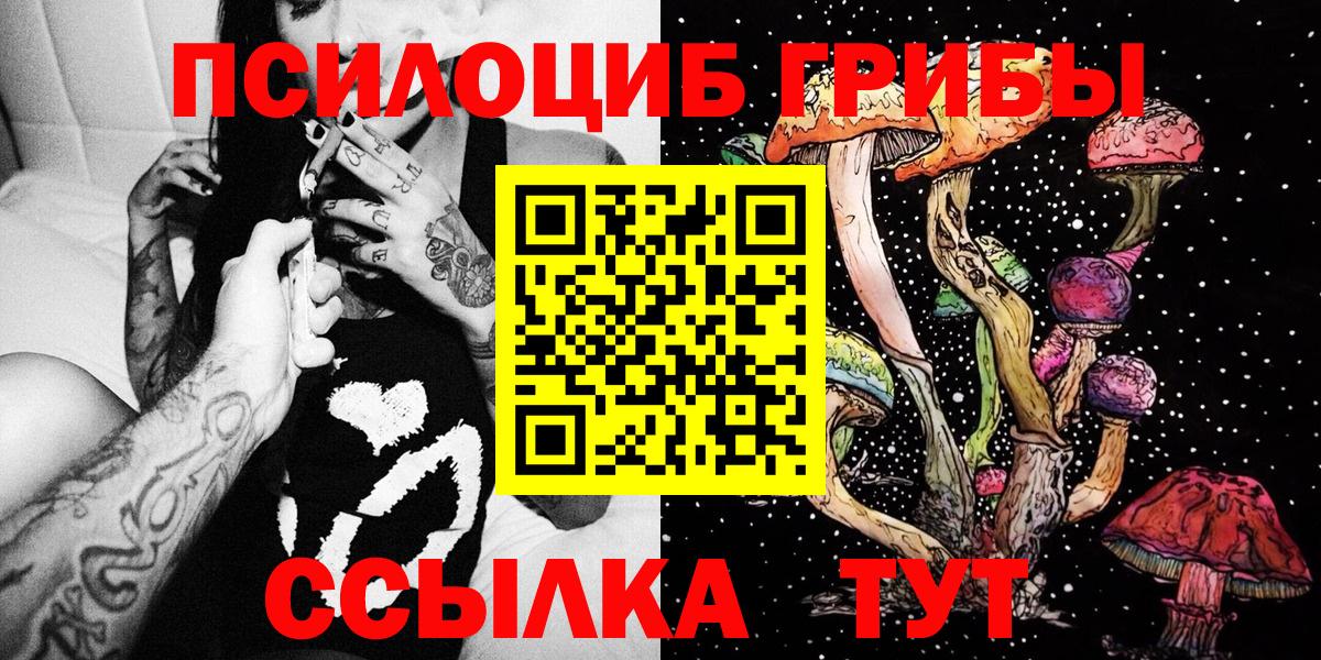 Саянск  Псилоцибиновые грибы MAGIC MUSHROOMS  Вход с VPN 